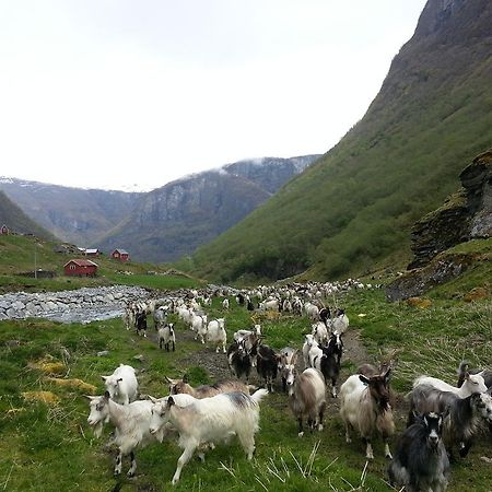 Undredal Gjestehus Hotel Værelse billede