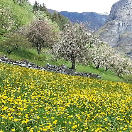 Undredal Gjestehus Hotel Værelse billede