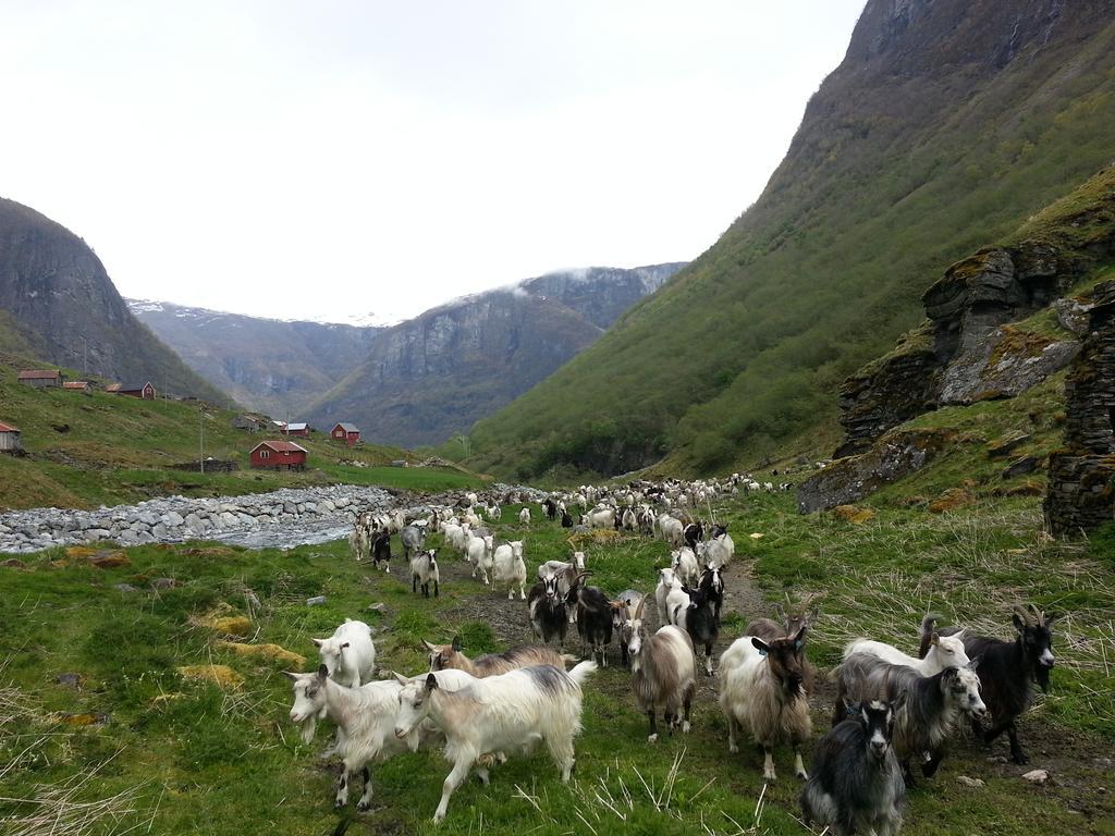 Undredal Gjestehus Hotel Værelse billede