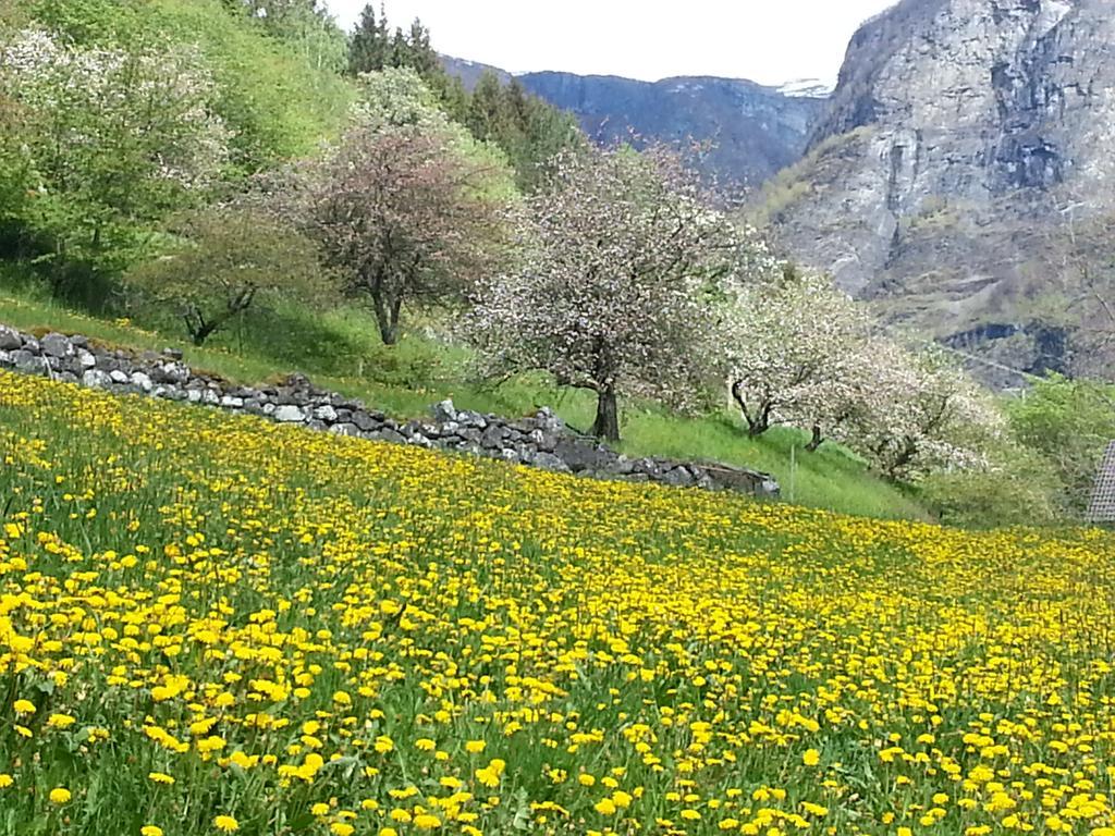 Undredal Gjestehus Hotel Værelse billede